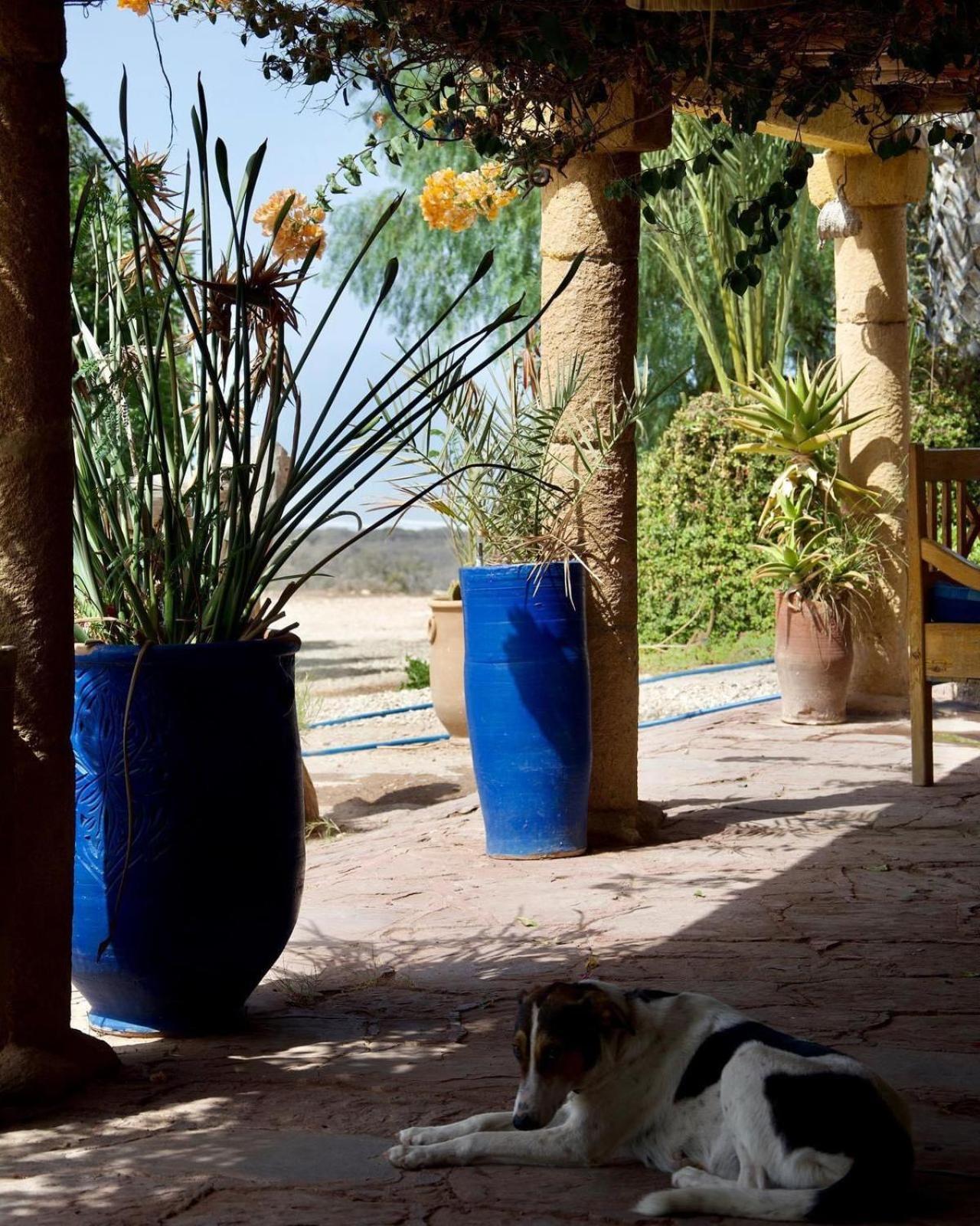 L'Air De La Mer Sidi Kaouki Zewnętrze zdjęcie