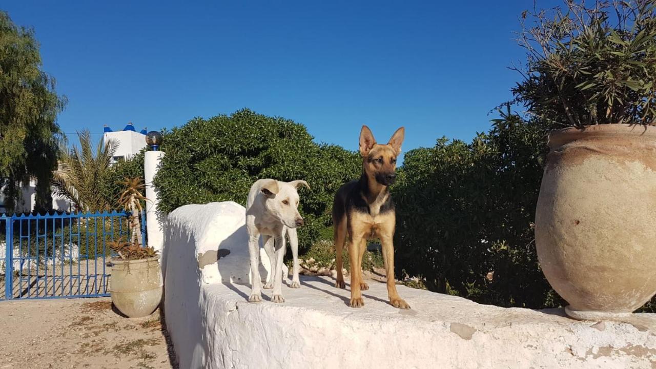L'Air De La Mer Sidi Kaouki Zewnętrze zdjęcie